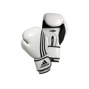 Adidas 14494 Боксерские перчатки Adidas BOX-FIT бело-черные фото